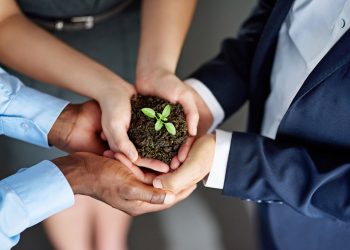 How to Grow Your Real Estate Brokerage in 4 Easy Steps