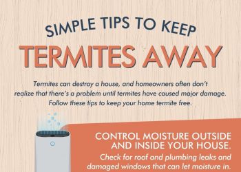 Simple Tips to Keep Termites Away