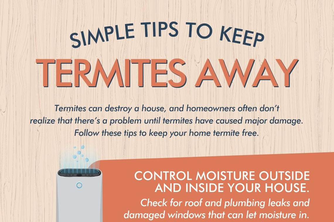 Simple Tips to Keep Termites Away — RISMedia