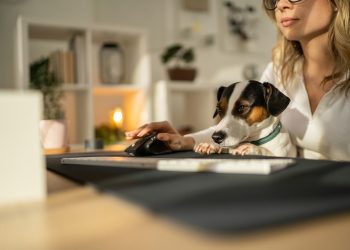 Report: There Are More Households With Pets Than Children