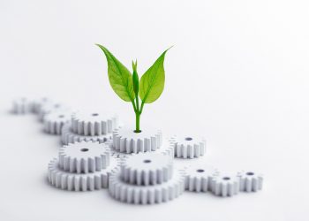 Arkansas ERA Affiliate Acquires Local Brokerage