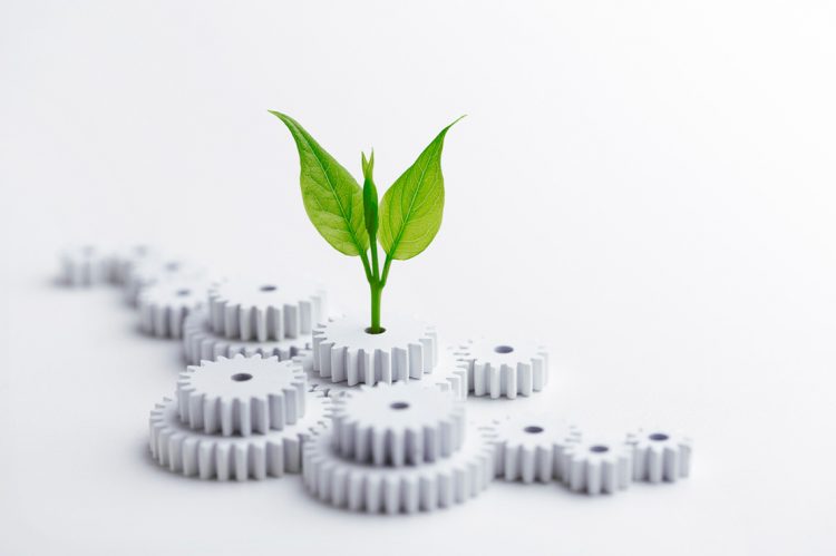 Arkansas ERA Affiliate Acquires Local Brokerage