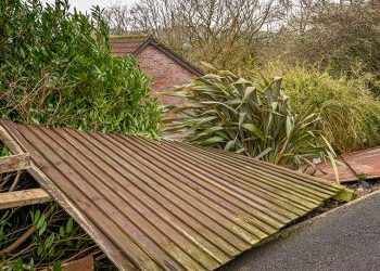 What You Should Know About Homeowners Insurance and Accidental Property Damage