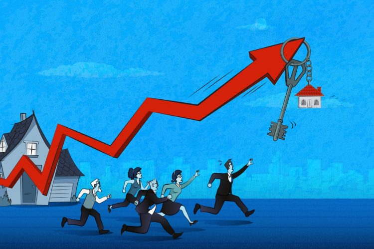 New Market Dynamics Resemble Pandemic Frenzy