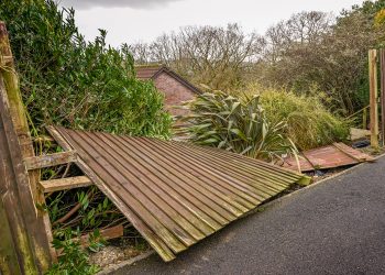 What You Should Know About Homeowners Insurance and Accidental Property Damage