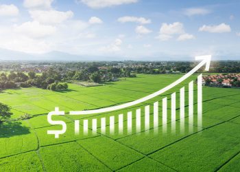 Why You Might Have to Pay More in Property Taxes Than Your Home’s Previous Owner Did