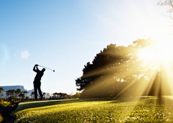 Thoughts on Leadership: A Chip Off the New Block