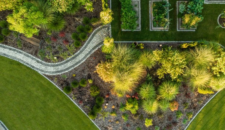 Landscaping Design Tips