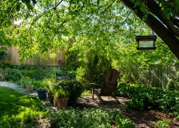 Edible and Aesthetic Options for Your Backyard Oasis