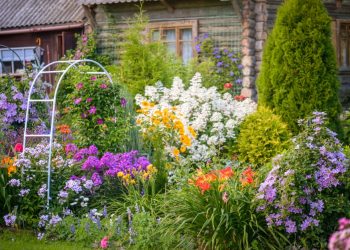 Easy Tips for a Lively Garden