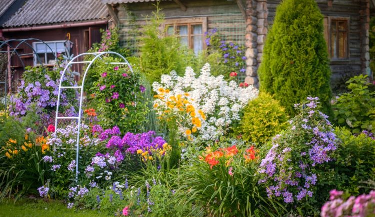 Easy Tips for a Lively Garden