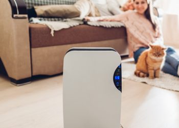 Should You Use a Dehumidifier in Your House?