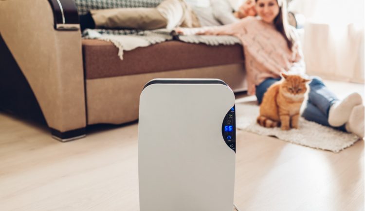 Should You Use a Dehumidifier in Your House?