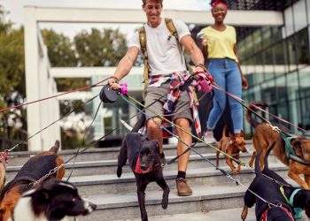 Rewarding Side Hustles for Spring and Summer