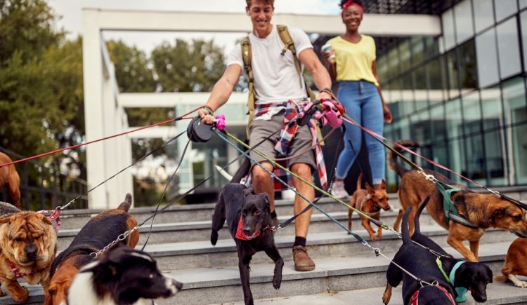 Rewarding Side Hustles for Spring and Summer