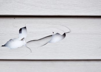 What to Do If You Find a Hole in Your Siding