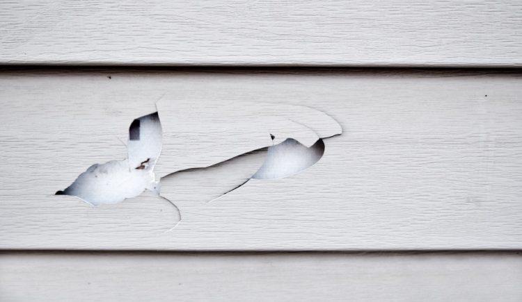 What to Do If You Find a Hole in Your Siding