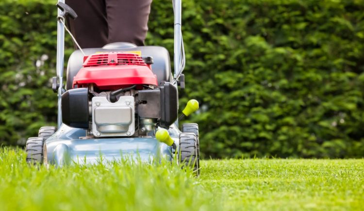 How to Get Your Lawn Care Tools Ready for Spring