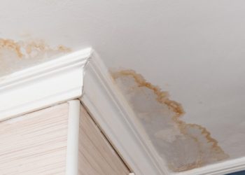 Signs That a Seller Might Be Trying to Conceal Water Damage