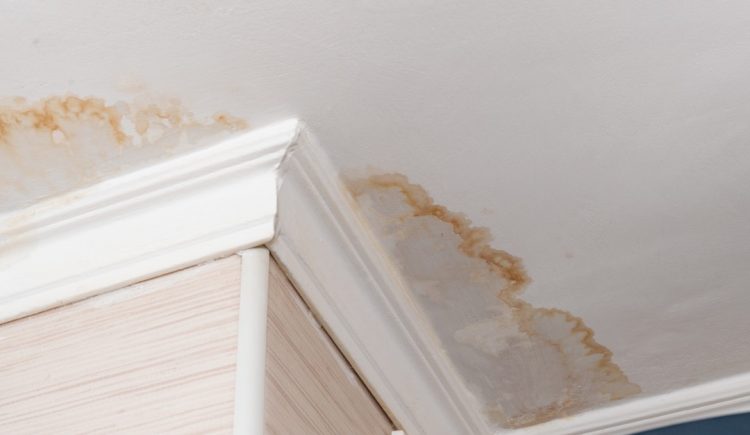 Signs That a Seller Might Be Trying to Conceal Water Damage