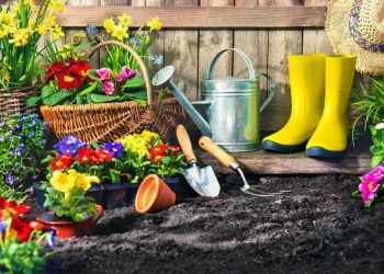 Gorgeous Gardening Essentials