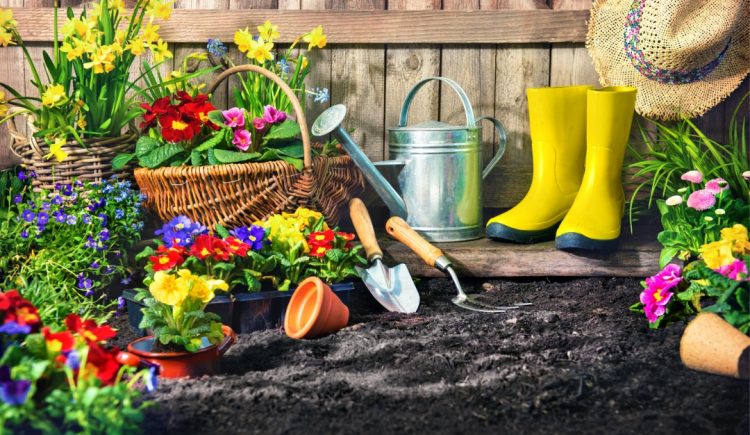 Gorgeous Gardening Essentials