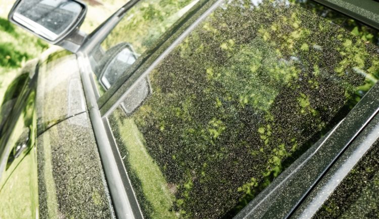 How to Protect Your Car From Pollen in the Spring