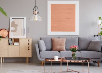 Creating a Nature-Inspired Interior Color Scheme