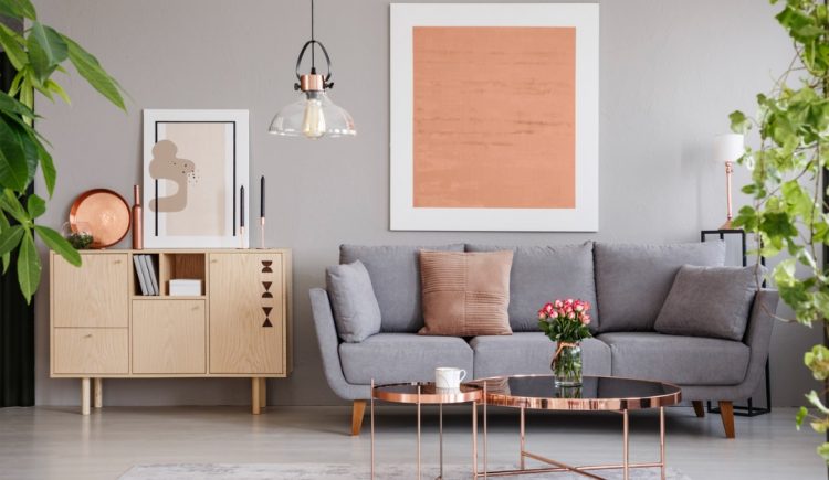 Creating a Nature-Inspired Interior Color Scheme