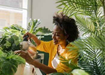 The Benefits of Owning Houseplants
