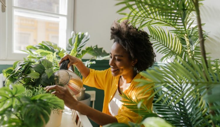 The Benefits of Owning Houseplants
