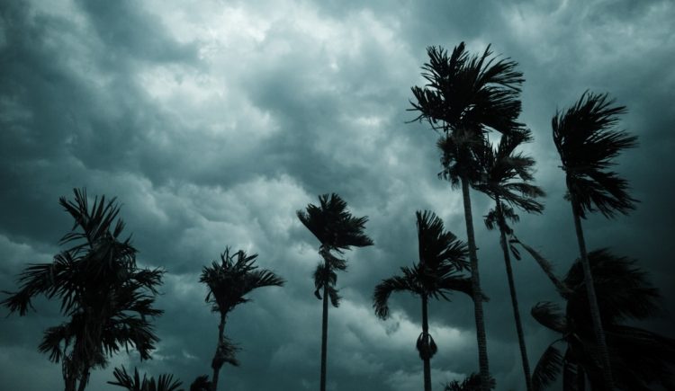 Should You Buy a House in an Area That’s Prone to Hurricanes?