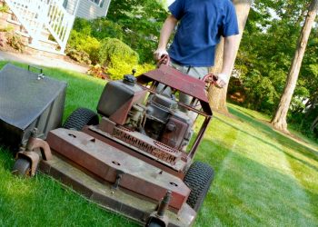 5 Ways to Get Your Front Yard in Curb-Appeal Condition