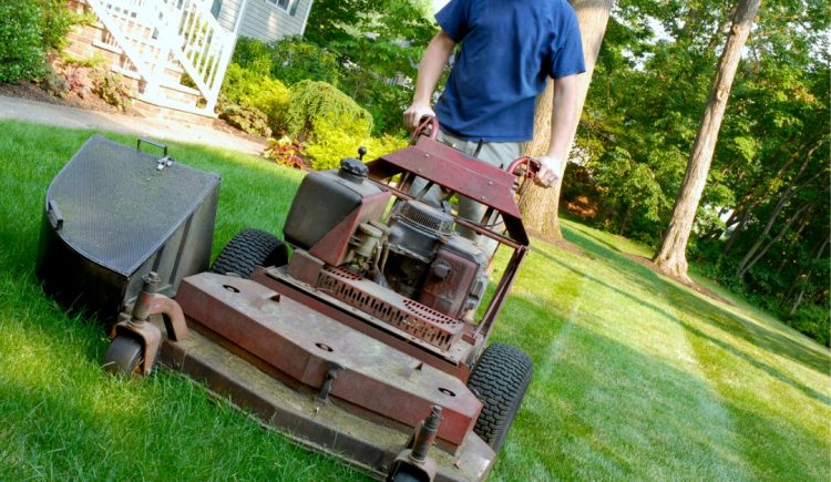 5 Ways to Get Your Front Yard in Curb-Appeal Condition