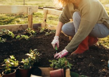 Smart Gardening Tips You’ll Be Glad to Know