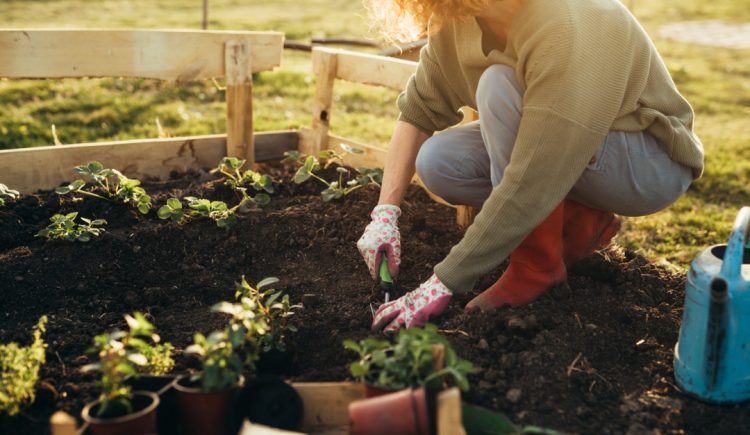 Smart Gardening Tips You’ll Be Glad to Know
