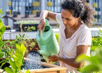 Backyard Homesteading Ideas for Beginners