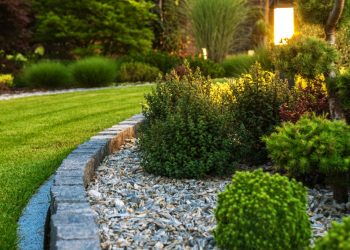 Does Your Homeowners Insurance Policy Cover Landscaping?