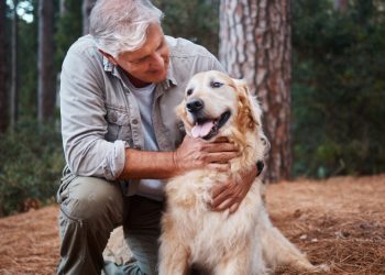 Simple Things You Can Do at Home to Help Your Aging Dog