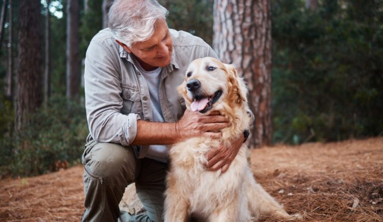 Simple Things You Can Do at Home to Help Your Aging Dog
