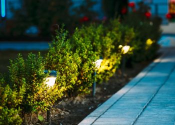 How to Use Landscaping to Make Your Home Safer