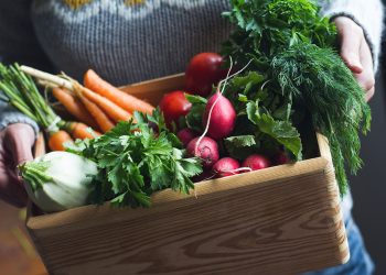How to Raise Vegetables Inside This Winter