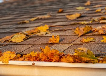 Fall Home Maintenance Guide