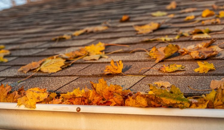Fall Home Maintenance Guide