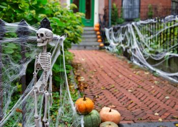 Top Halloween Decor Tips for Homeowners