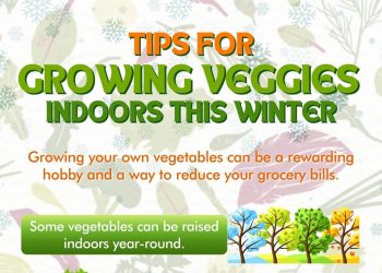 Tips for Growing Veggies Indoors This Winter