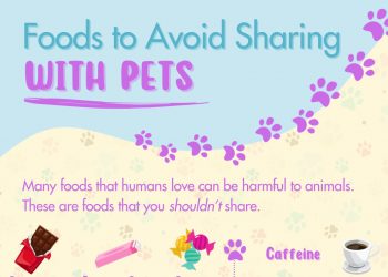 Foods to Avoid Sharing With Pets