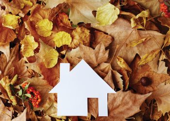 Navigating the Fall Real Estate Market: Tips for REALTORS®