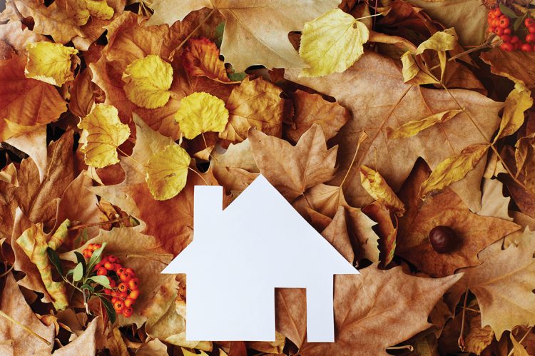 Navigating the Fall Real Estate Market: Tips for REALTORS®