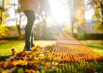 Fall Clean-Up Ideas for Your Home